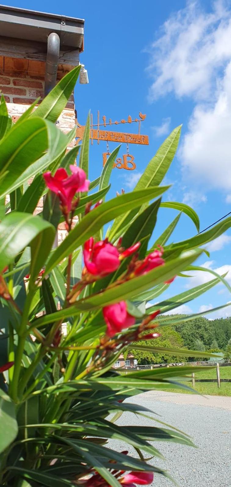 Hof Ter Dreef Bed & Breakfast Meise Екстериор снимка